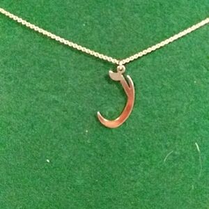 Hawiian fish hook necklace